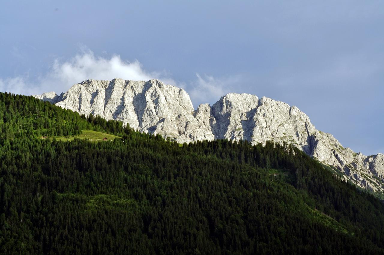 Hotel Waldpension Putz Berg im Drautal